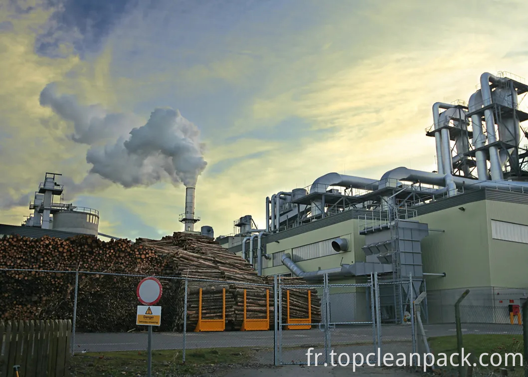 Sac de filtre PE à basse pression à haut débit largement applicable